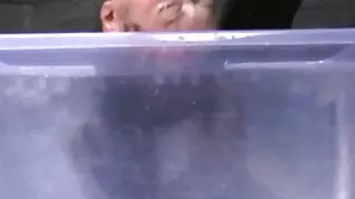 Pieprzy dojrzale sex zdjecia się z mężem swojej dziewczyny.