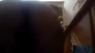 Dziewczyna pieprzy się ze dojrzale darmowe filmy swoim kochankiem.
