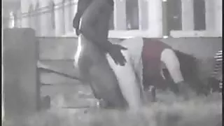 Dmuchał dojzale mamuski między kanapkami.